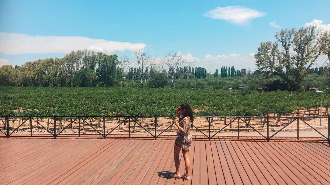 A woman walking across a deck with a casual stride, her shadow cast on the planks, while a verdant vineyard stretches out behind her under a clear sky in Mendoza.
