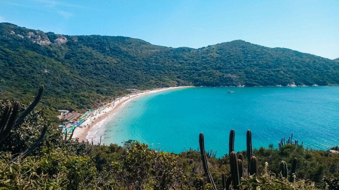 An elevated view of Forno Beach in Arraial do Cabo, showcasing its stunning turquoise waters and vibrant beach scene nestled between lush, green mountains. The beach is lined with colorful umbrellas and bustling with visitors enjoying the sun and sea. Cacti and native vegetation in the foreground add to the natural beauty of this popular seaside destination.